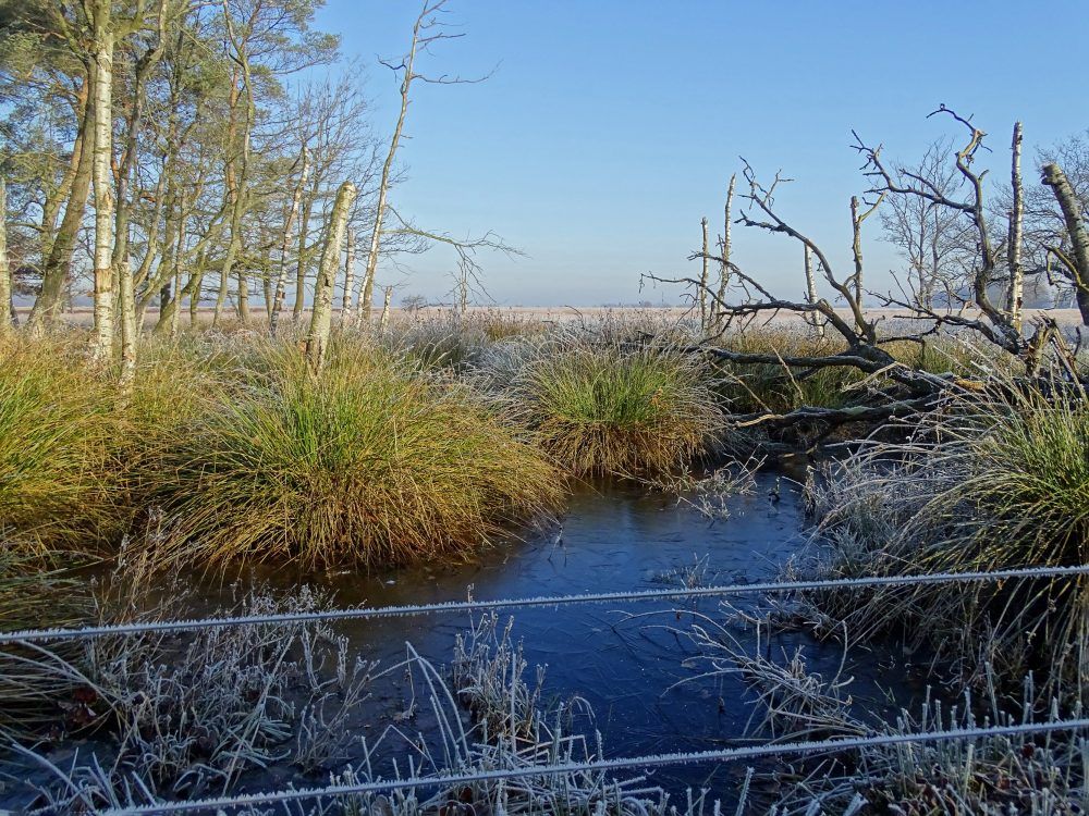 Noordsche veld